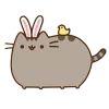 🐇