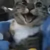 😄