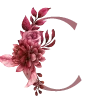 🌺