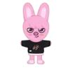 🐷