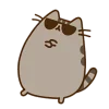 😎