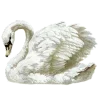 🦢