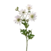 🌱