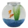 🐟