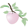 🍏