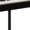 🤩