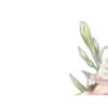 🌼