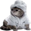 😎