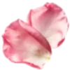 🌸