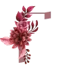 🌺