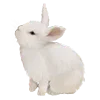 🐇