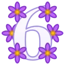 6️⃣