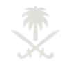 🇸🇦