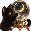 🐈‍⬛