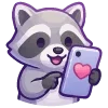 🦝