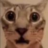 😳