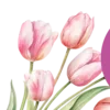 🌷
