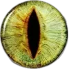 👁