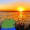 🌅