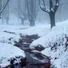 🌨