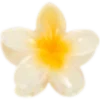 🌼