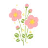 🎀
