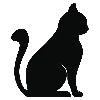 🐈