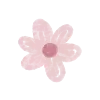 🌺