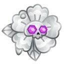 🌺