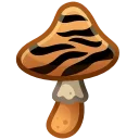 🍄