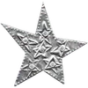 🌟