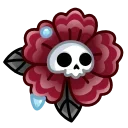 🌺