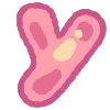 🍭