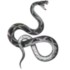 🐍