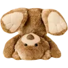 🐻