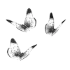 🦋