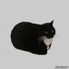 🕺