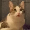 😛