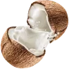 🥥