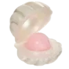 🐚