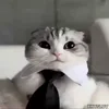 🤵‍♂️