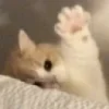 👋