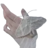 🤍