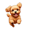 🐶