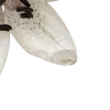 🪷
