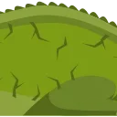 🐊