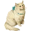 🐈