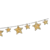 🌟