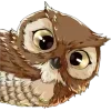 🦉
