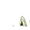 🪻